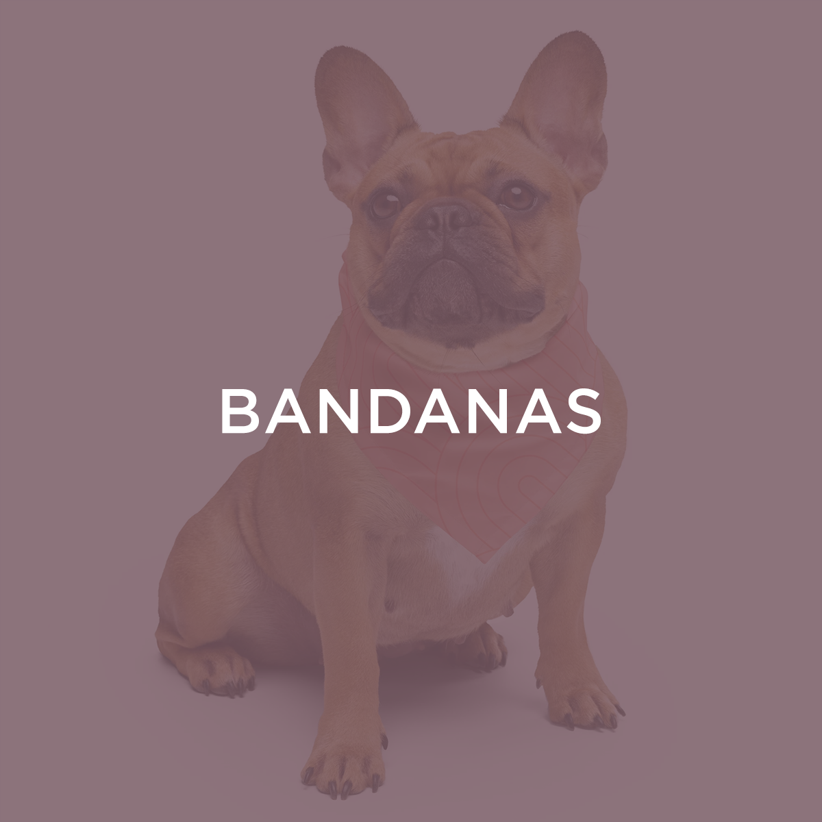 Bandanas