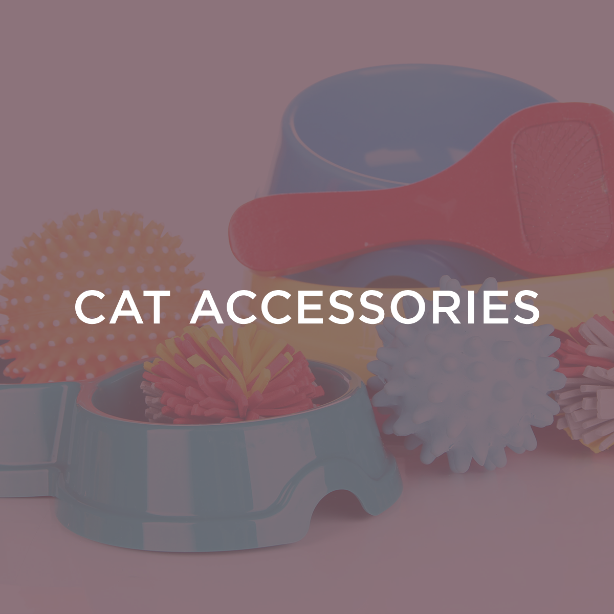 Cat Accessories