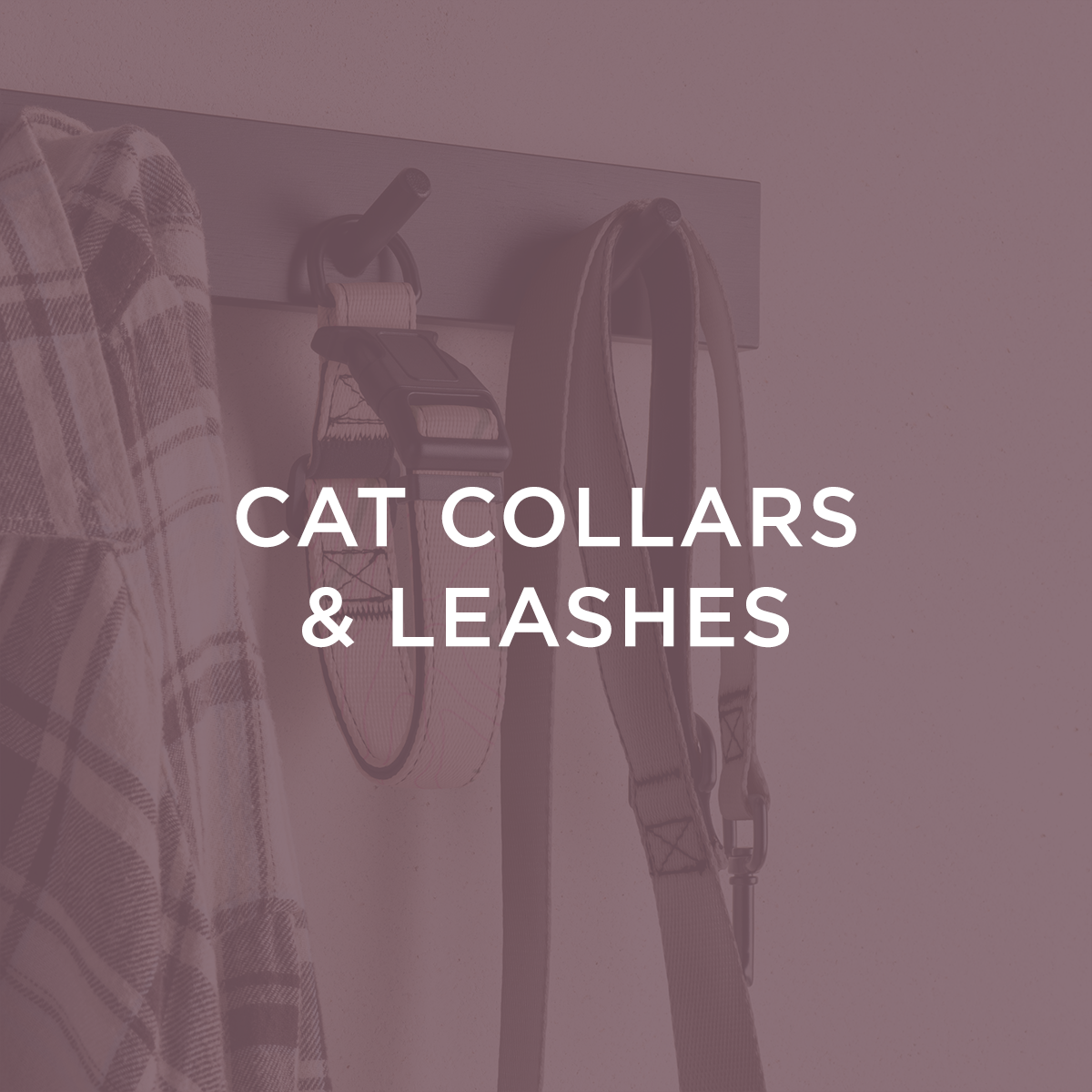 Cat Collars & Leashes