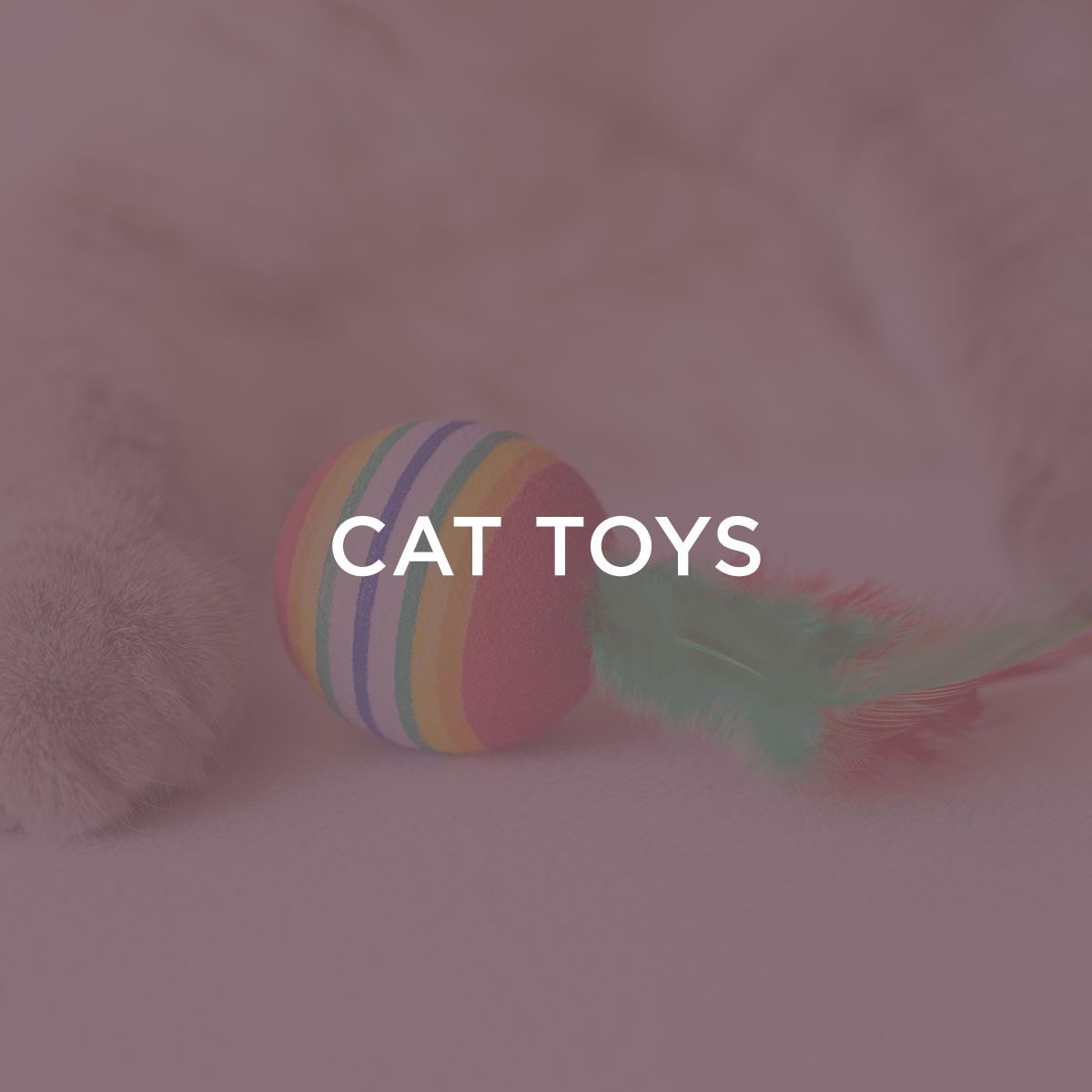 Cat Toys