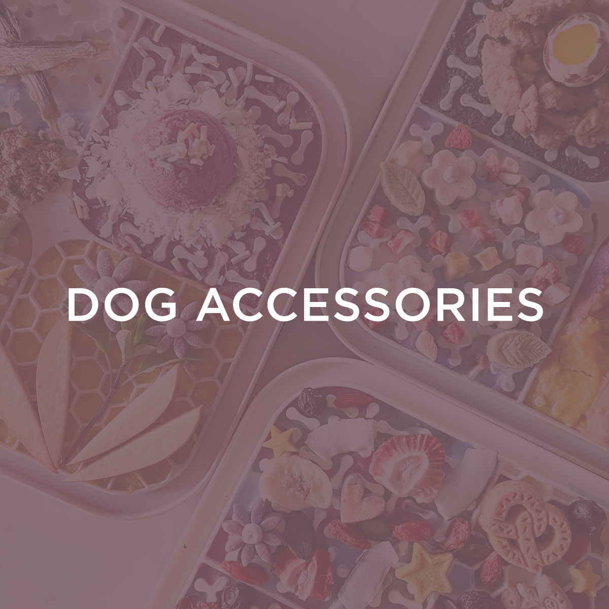 Dog Accessories