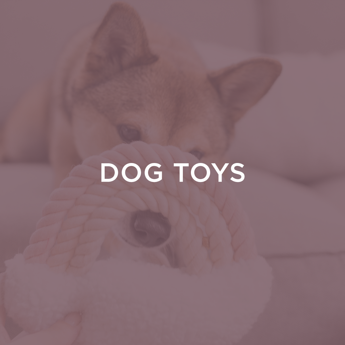 Dog Toys