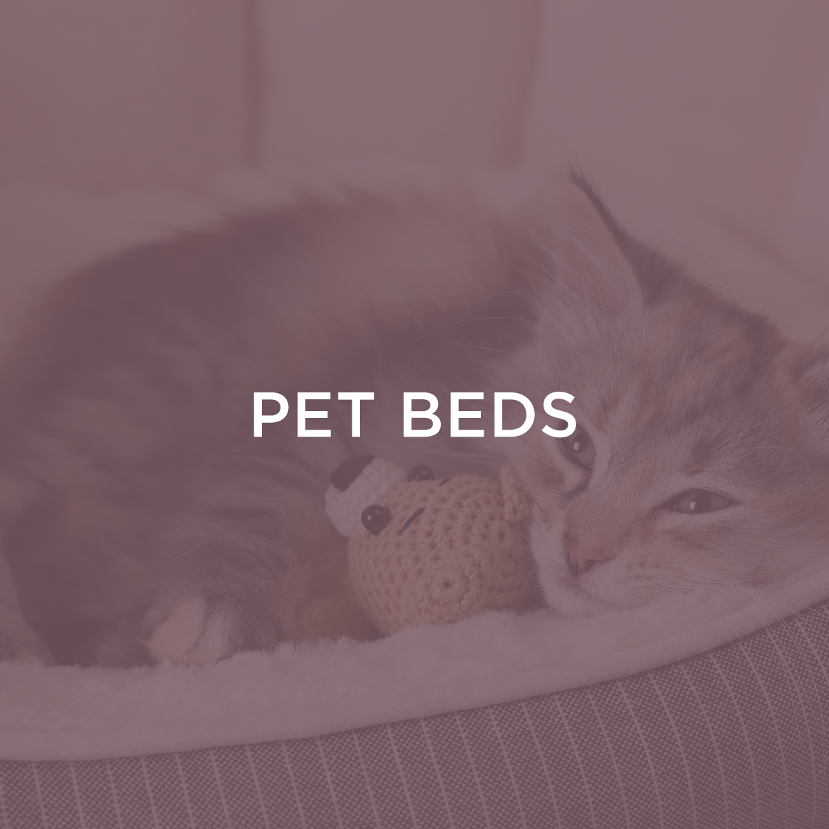 Pet Bedding