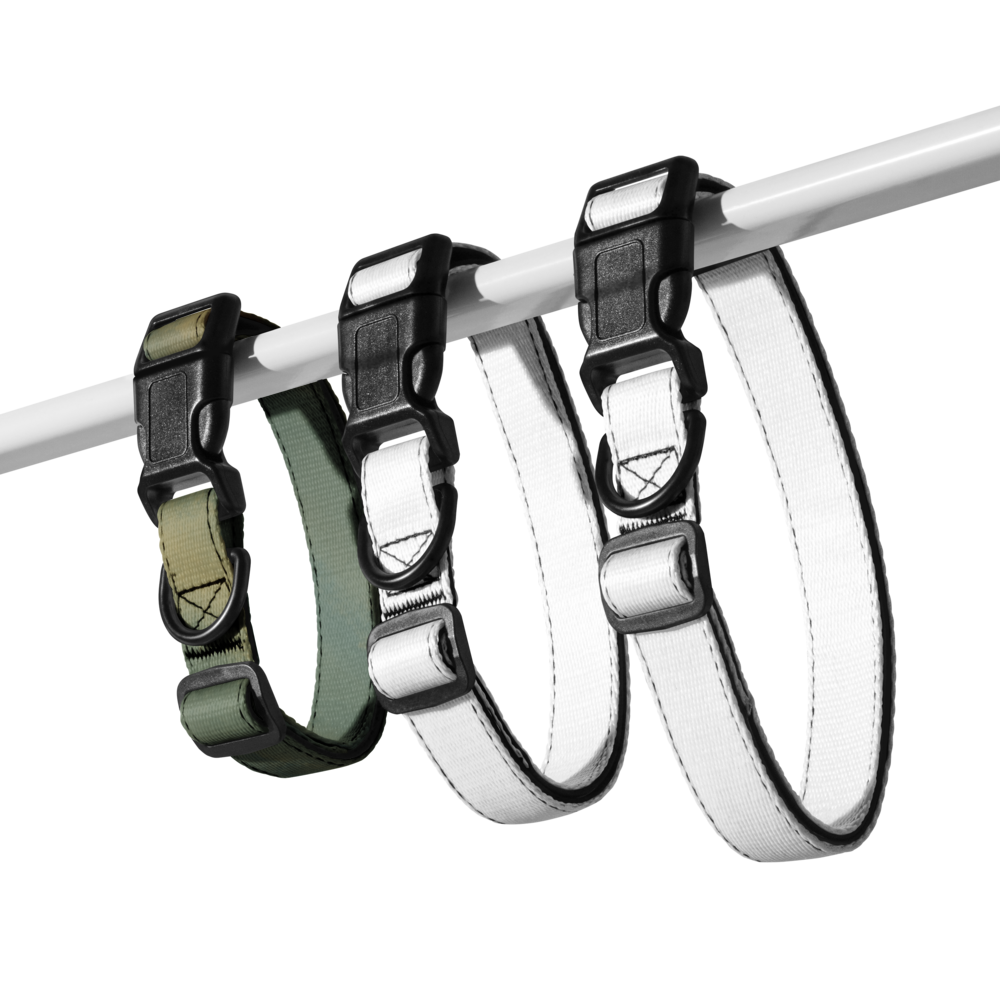Sebastian & Clementine Brushed Green Premium Adjustable Pet Collar