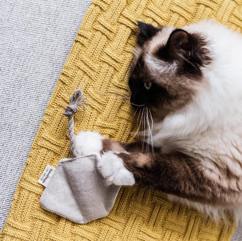 Boba & Vespa Stingray Cat Toy in Cotton