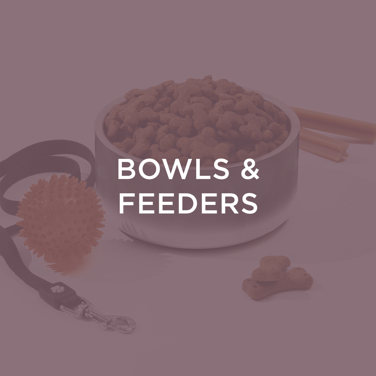 Bowls & Feeders