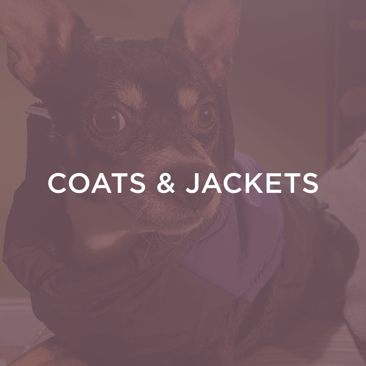 Coats & Jackets