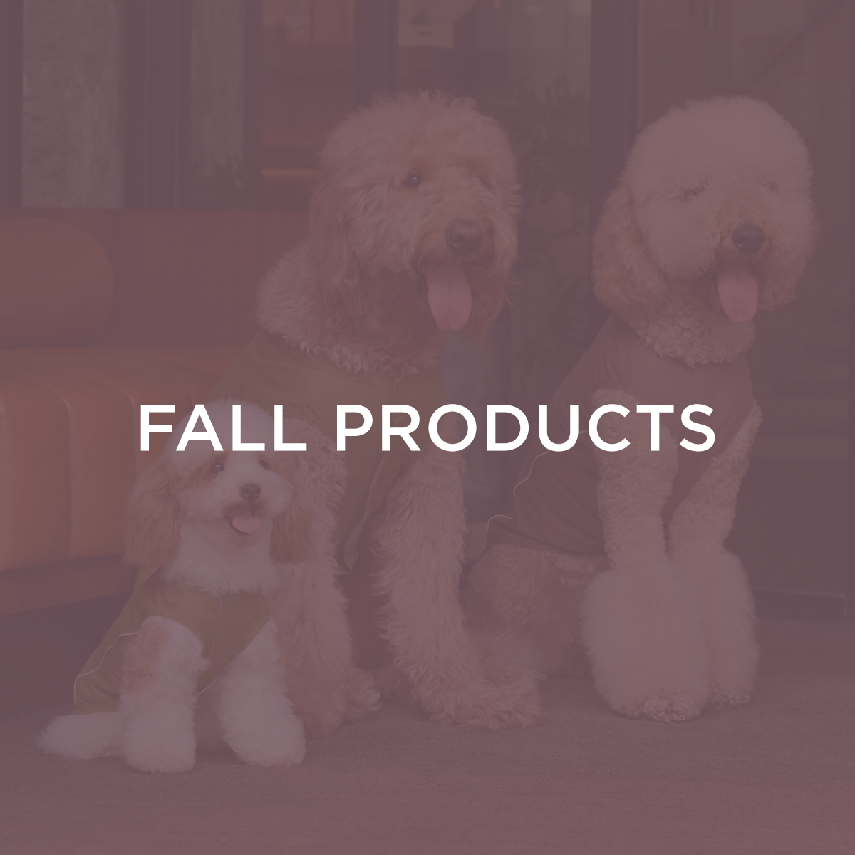 Fall Products