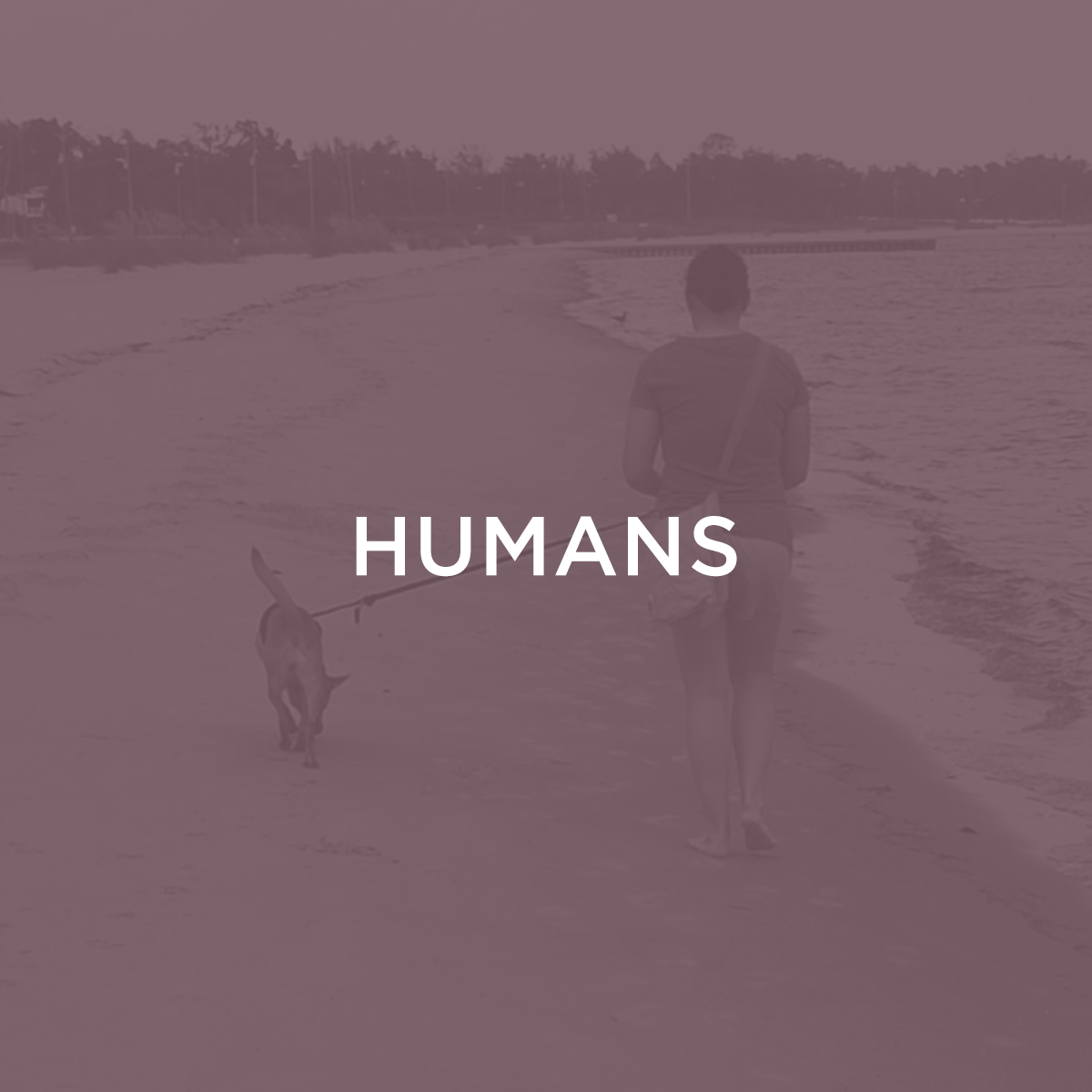 Humans