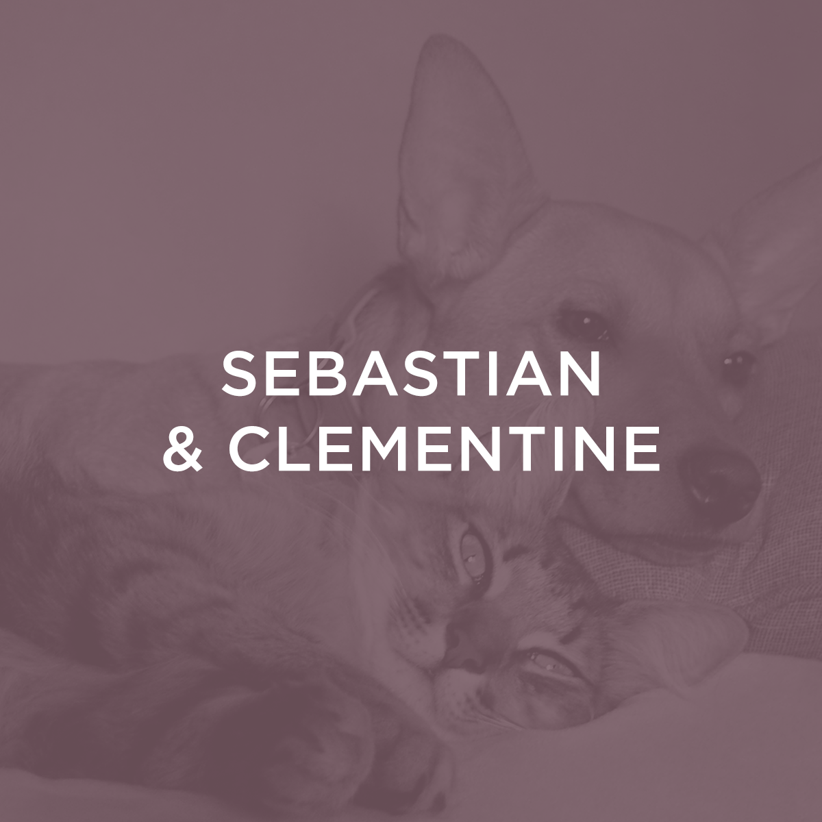 Sebastian & Clementine