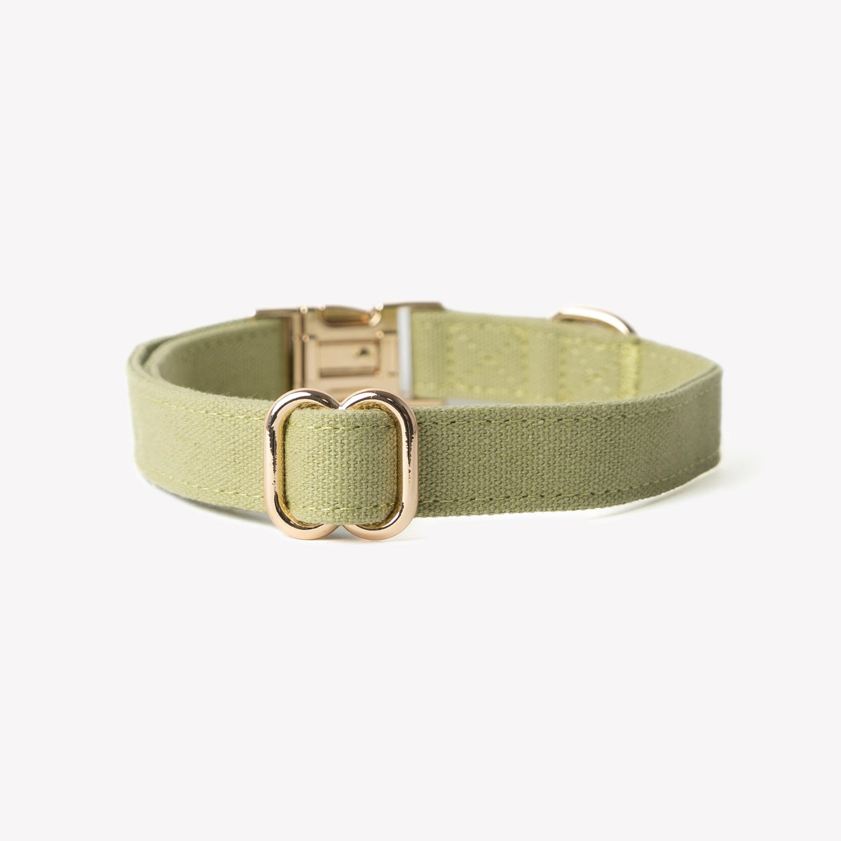FurLou Green Canvas Dog Collar