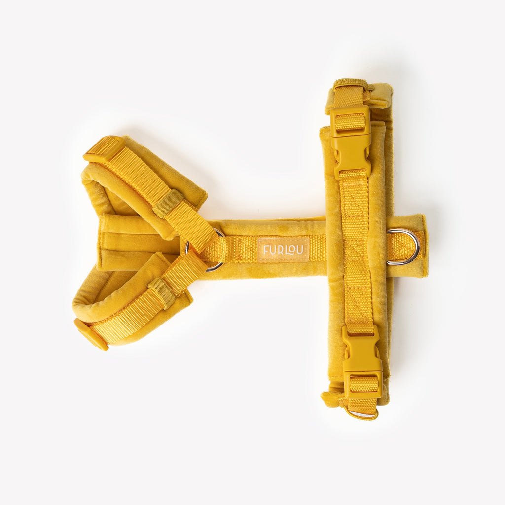 FurLou Yellow Velvet Dog Harness