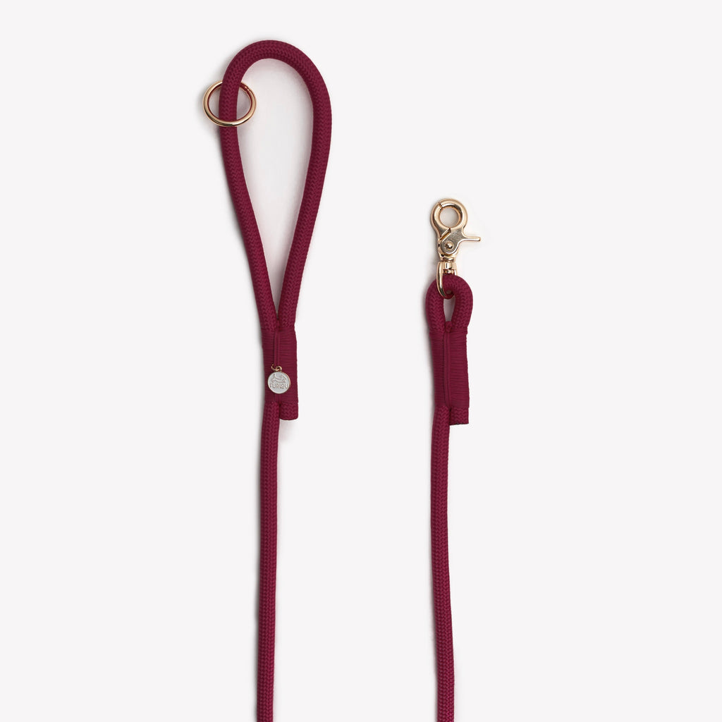 FurLou Bordeaux Braided Rope Leash