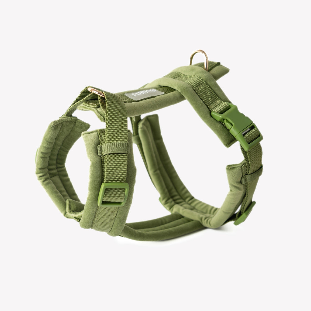 FurLou Green Velvet Dog Harness