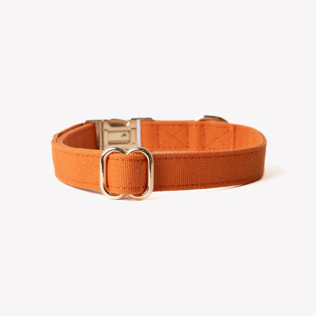 FurLou Terracotta Canvas Dog Collar