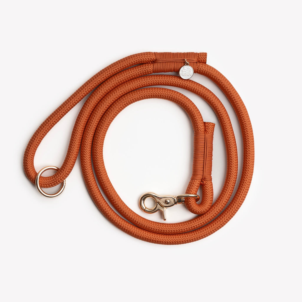 FurLou Terracotta Braided Rope Leash