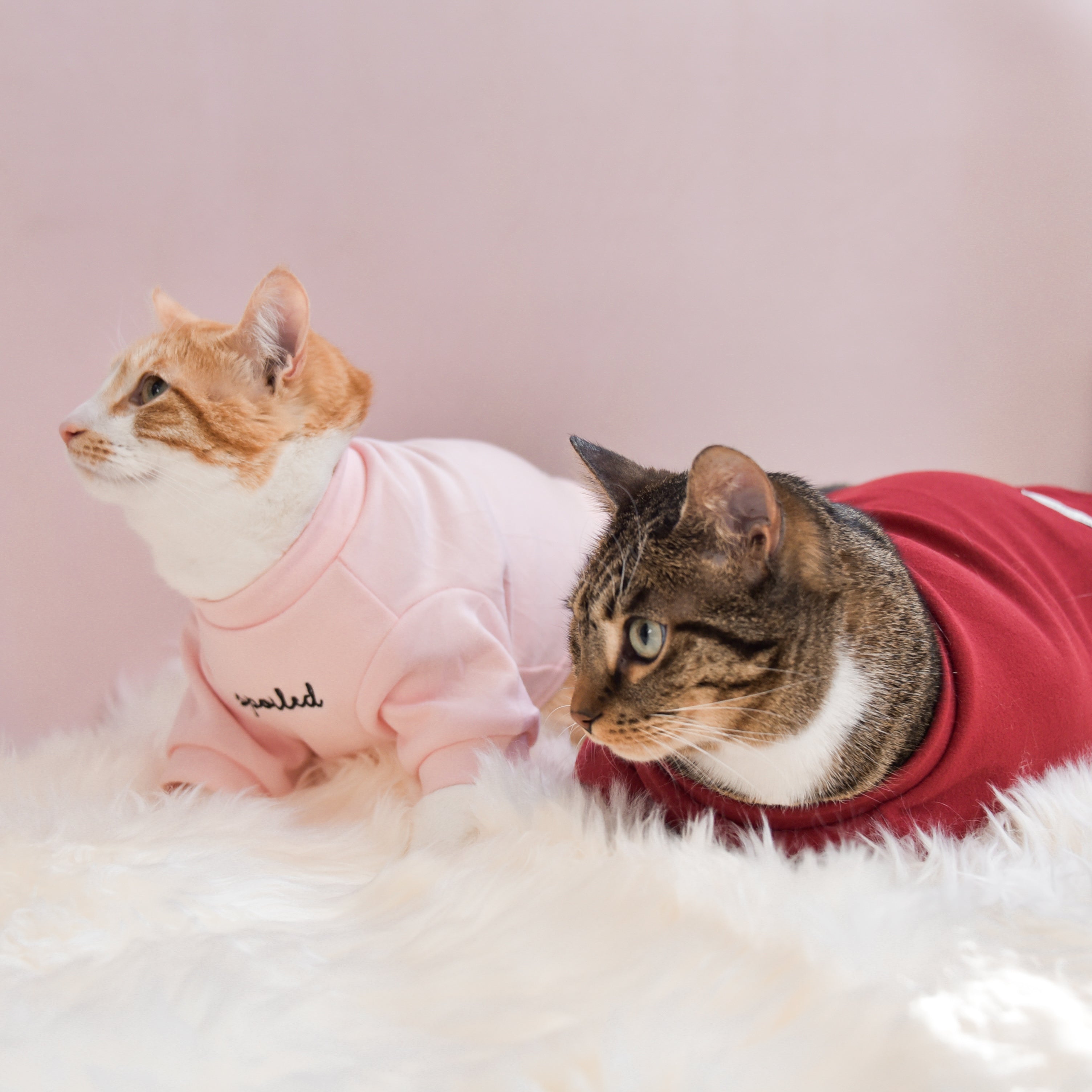 Fur Elise Mock Neck Shirt - Blush