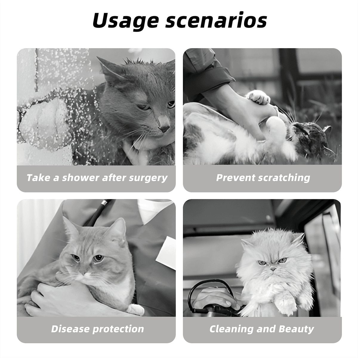 Sebastian & Clementine Crystal Gradation Pet Elizabethan Collar