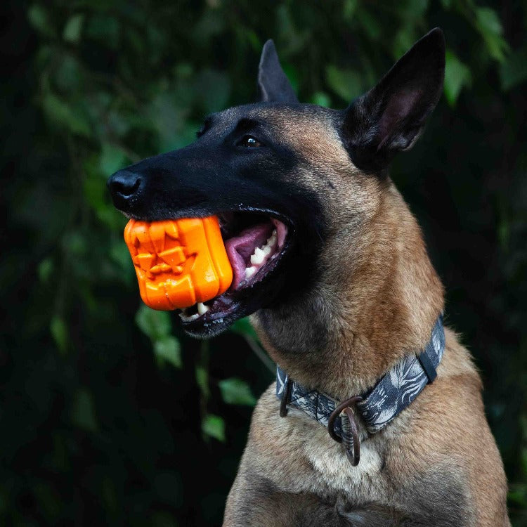 SodaPup® Jack O' Lantern Dog Toy - Durable Halloween Chew Toy for Large Dogs | USA Made