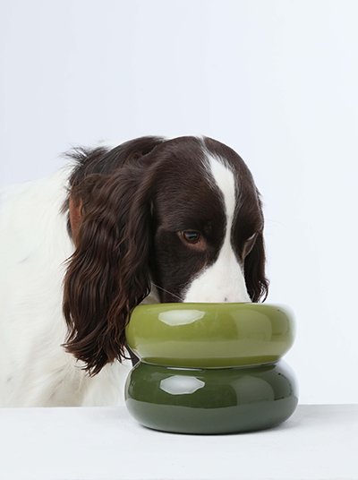 Pehom | Soufflé Pet Bowl - Avocado Green