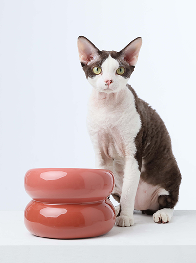 Pehom | Soufflé Pet Bowl - Rose Pink
