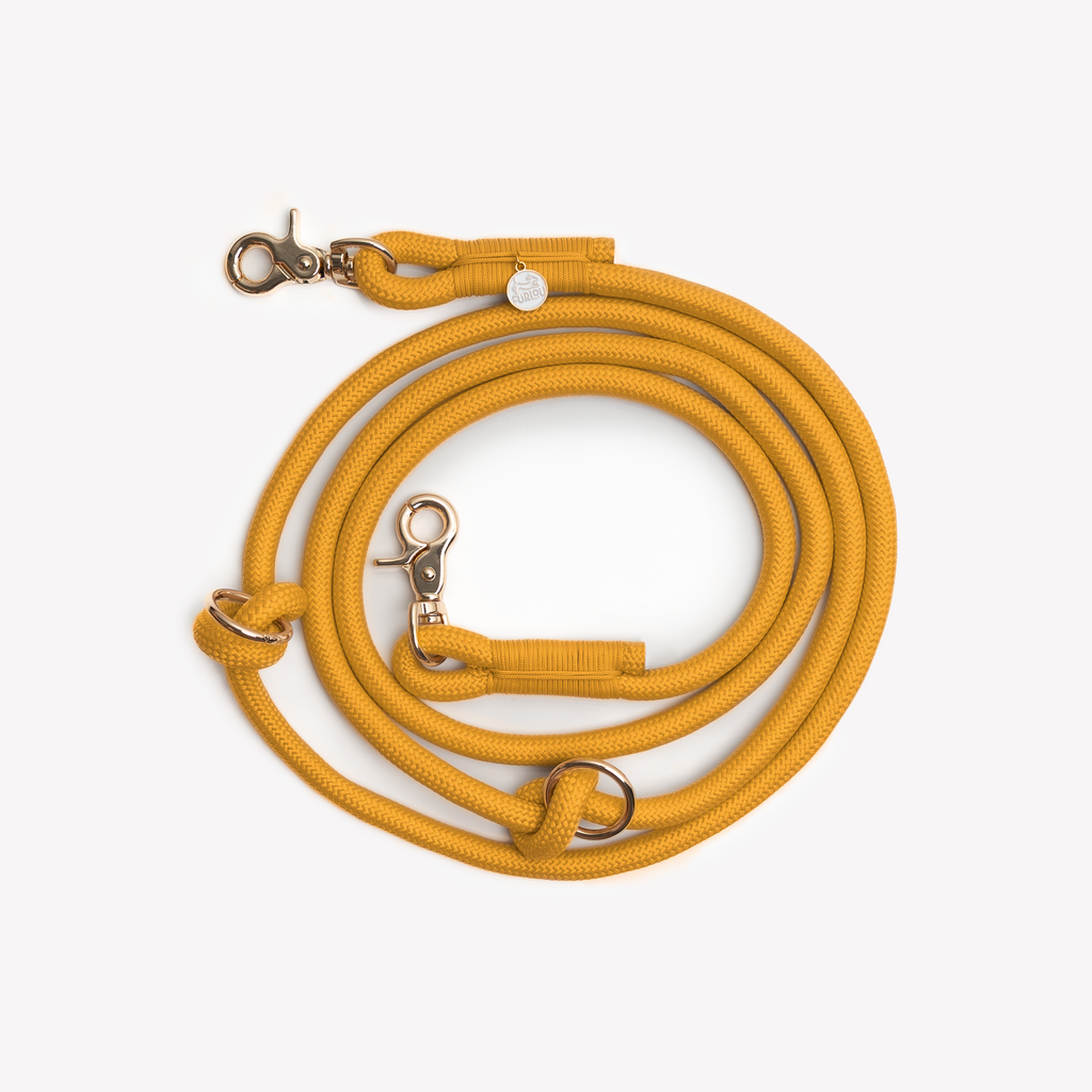 FurLou Yellow Hands Free Braided Rope Leash