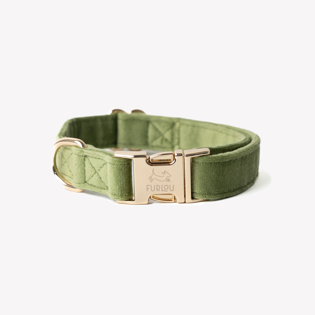 FurLou Green Velvet Dog Collar