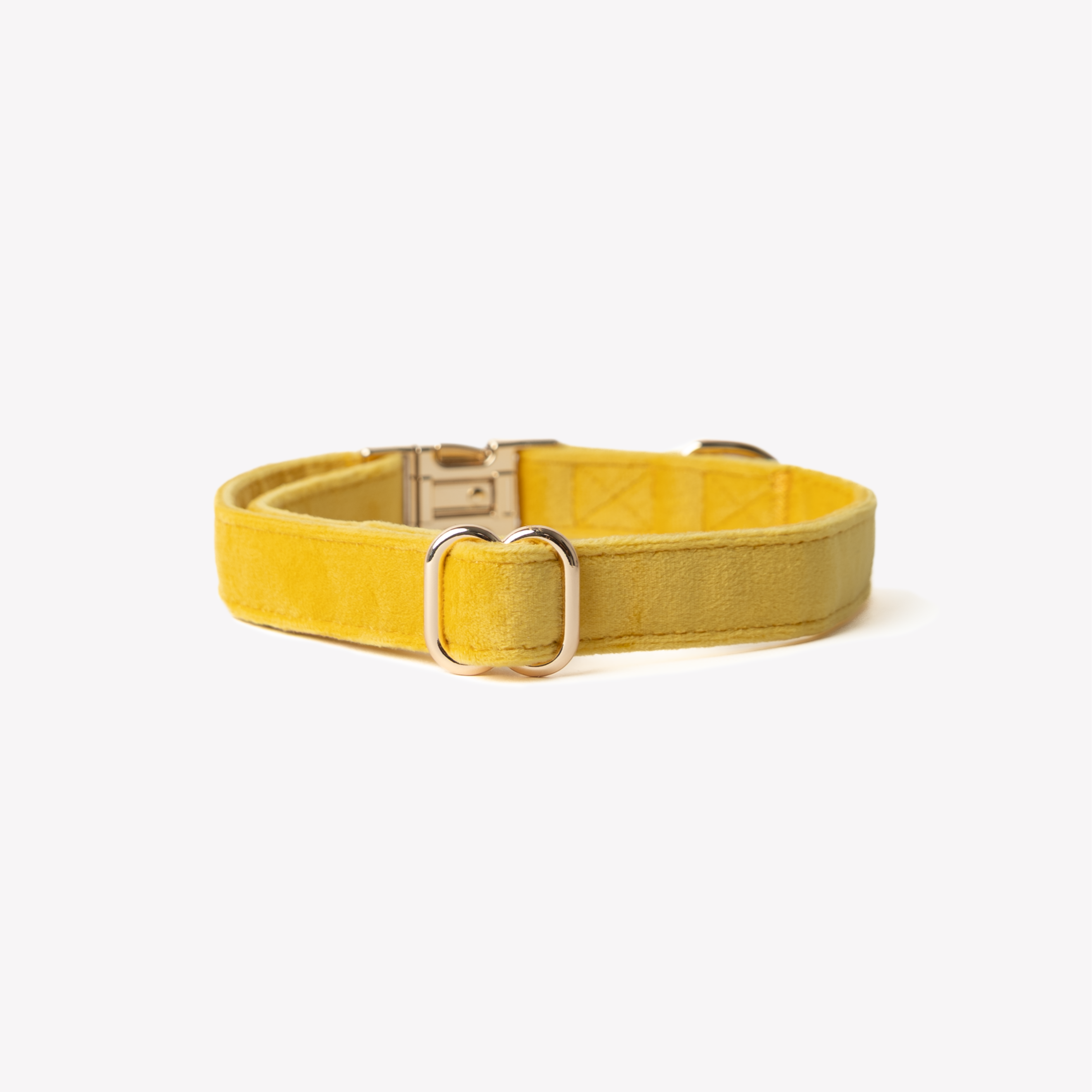 FurLou Yellow Velvet Dog Collar