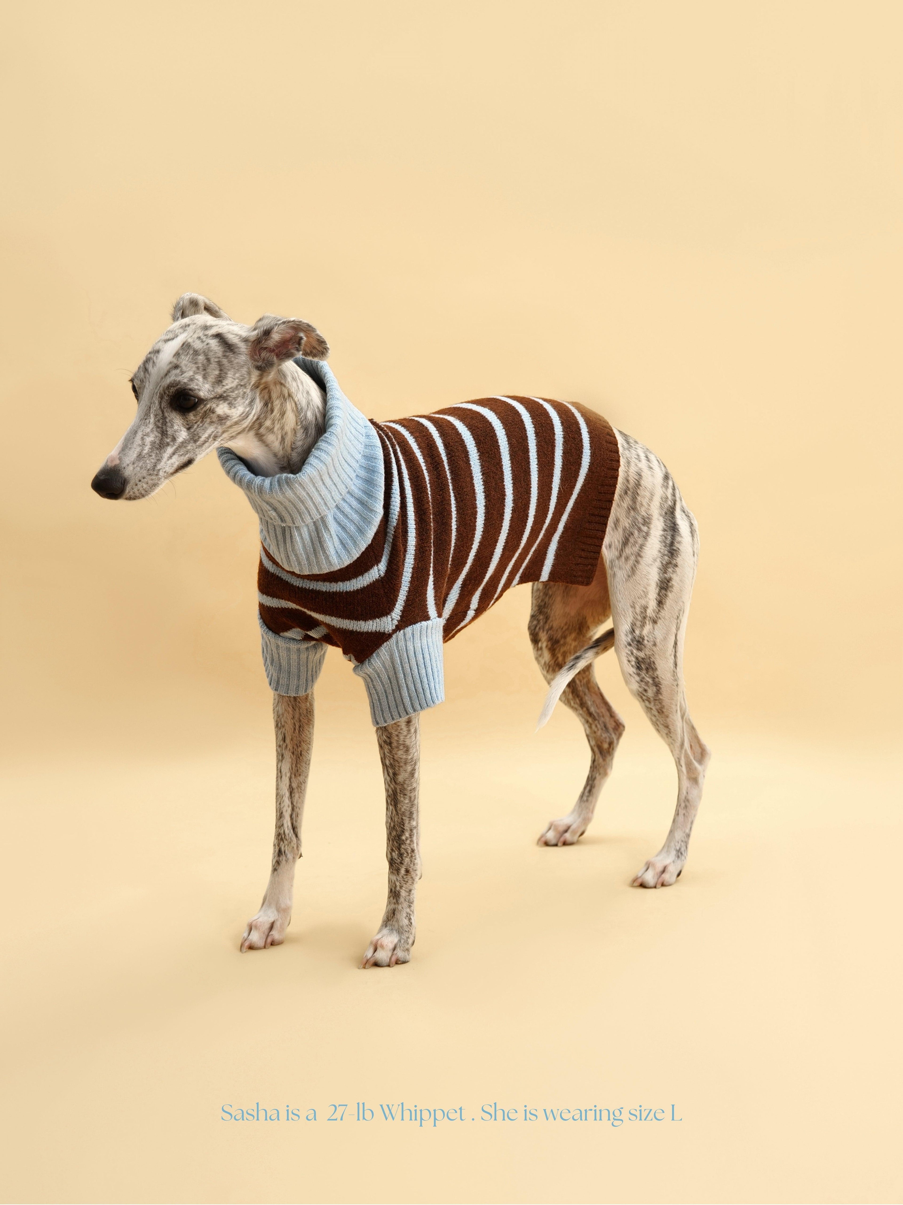 Bluebell Stripes Sweater