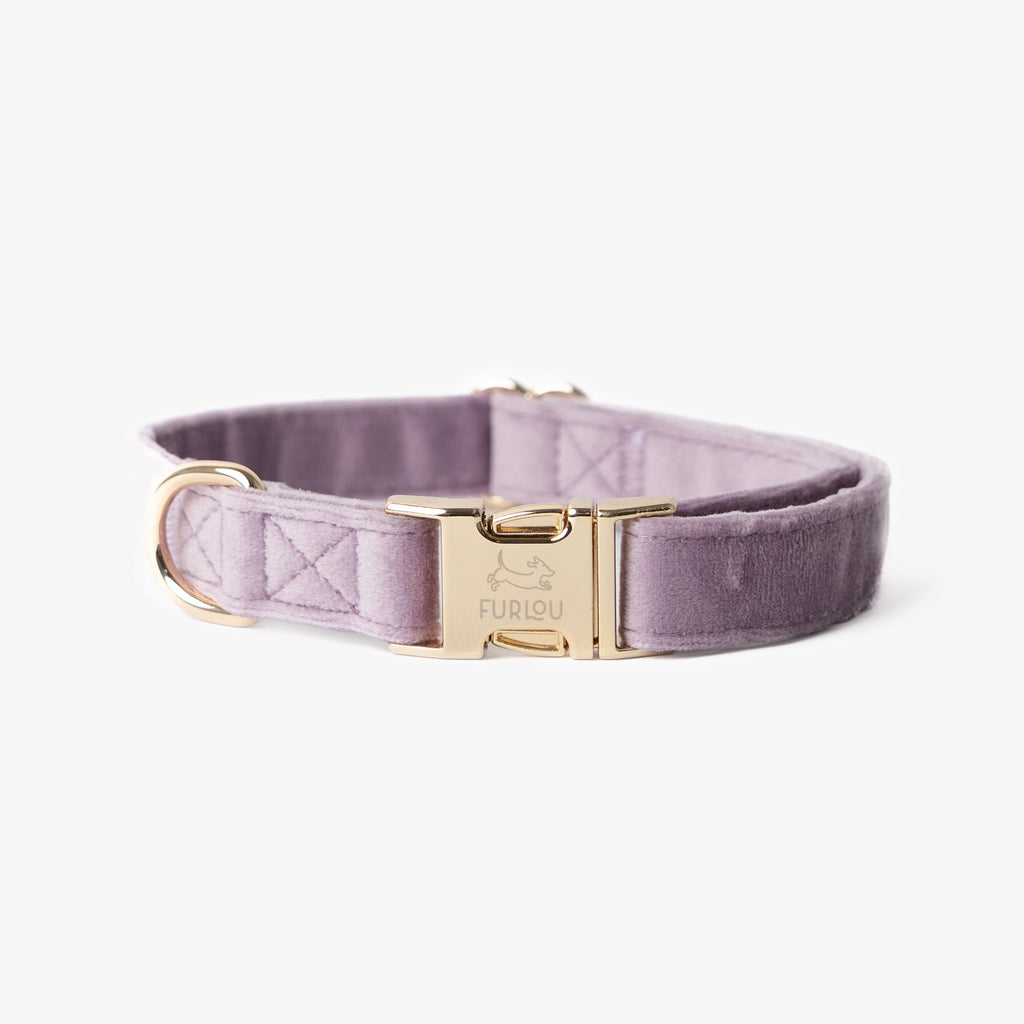 FurLou Lilac Velvet Dog Collar