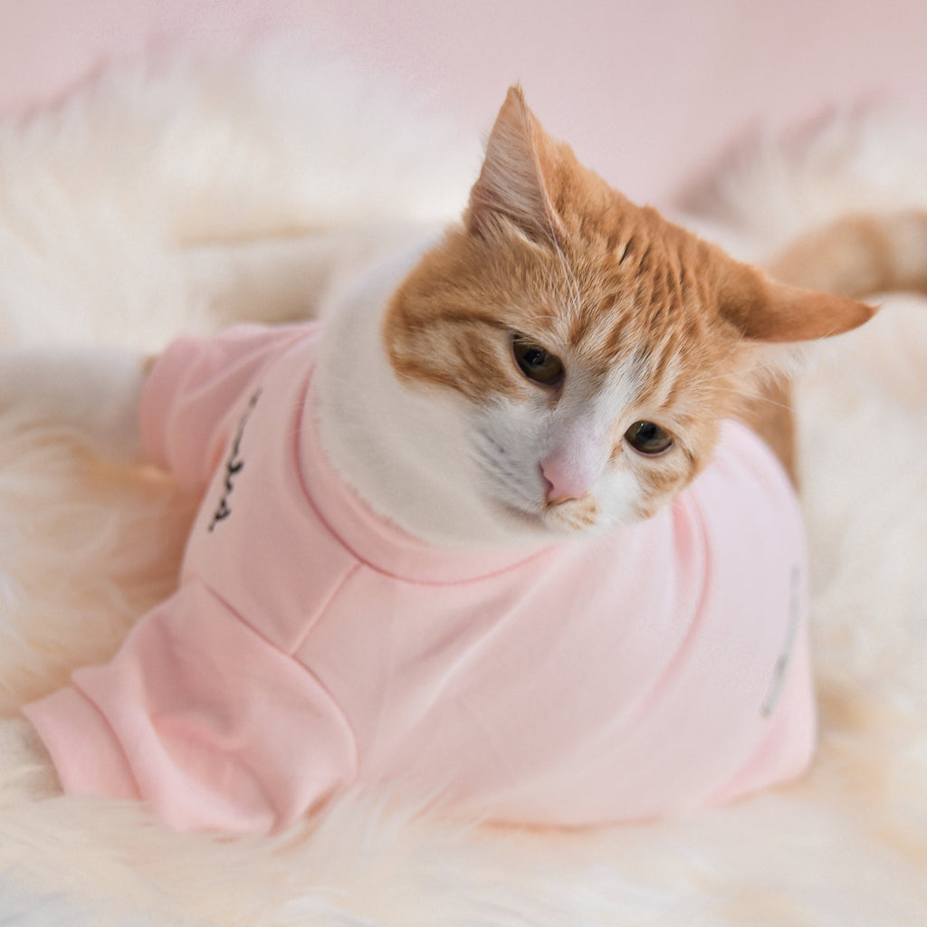Fur Elise Mock Neck Shirt - Blush
