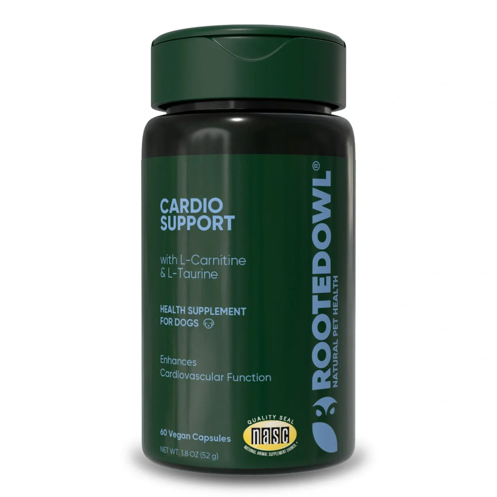 Rooted Owl® Cardio Support