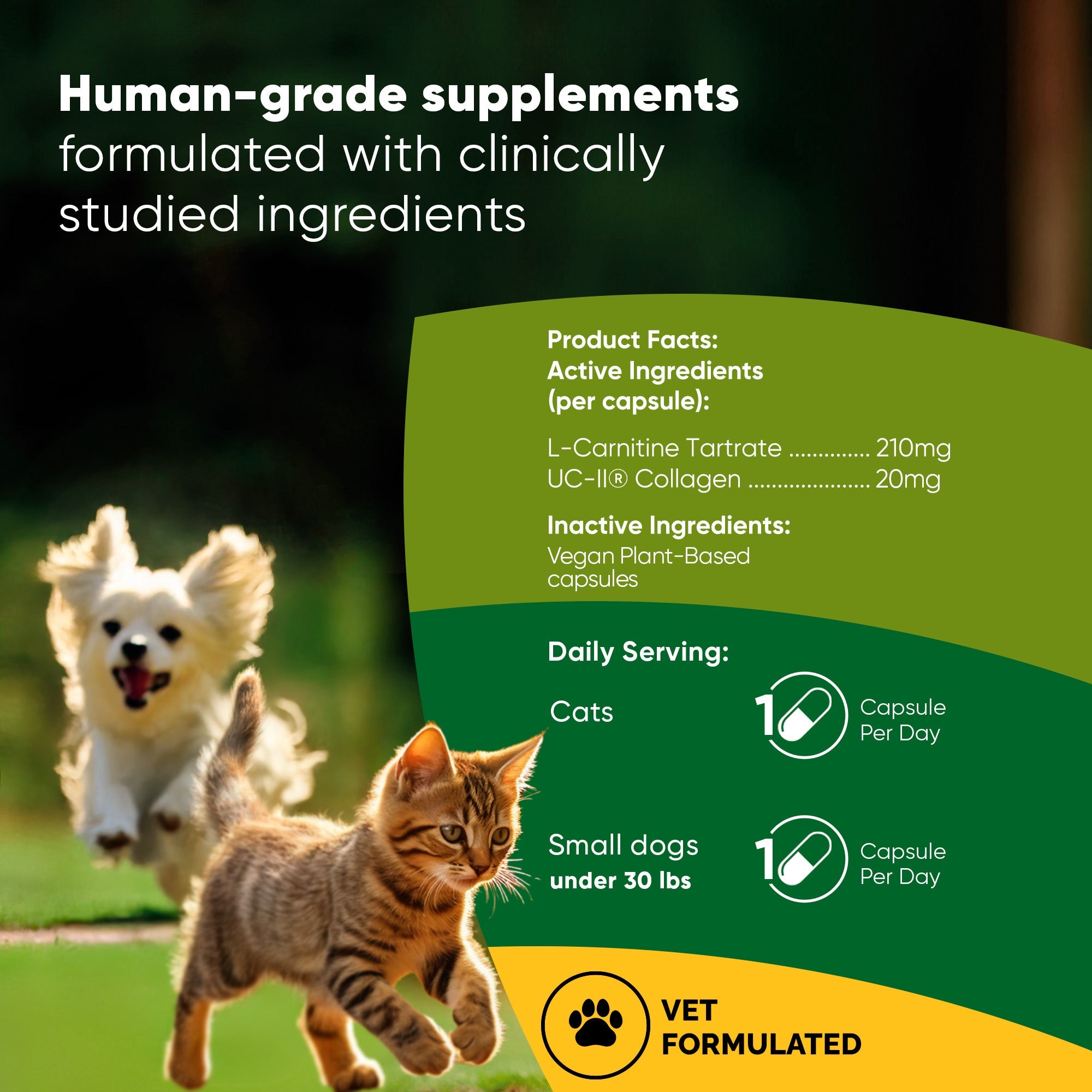 Rooted Owl® Joint & Muscle Health (Cats & Small Dogs)