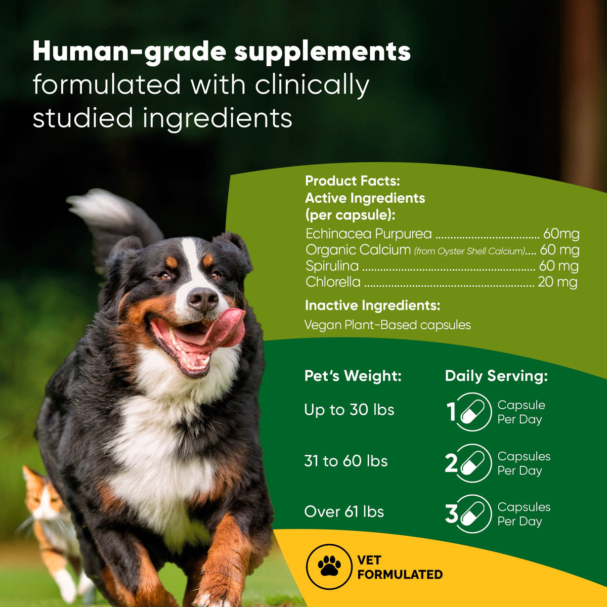 Rooted Owl® Spirulina & Chlorella