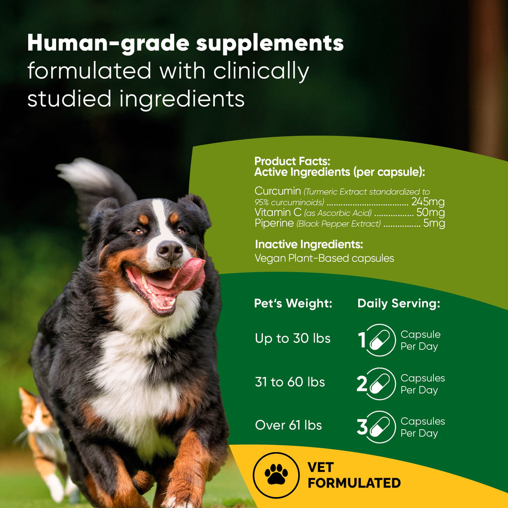 Rooted Owl® Turmeric