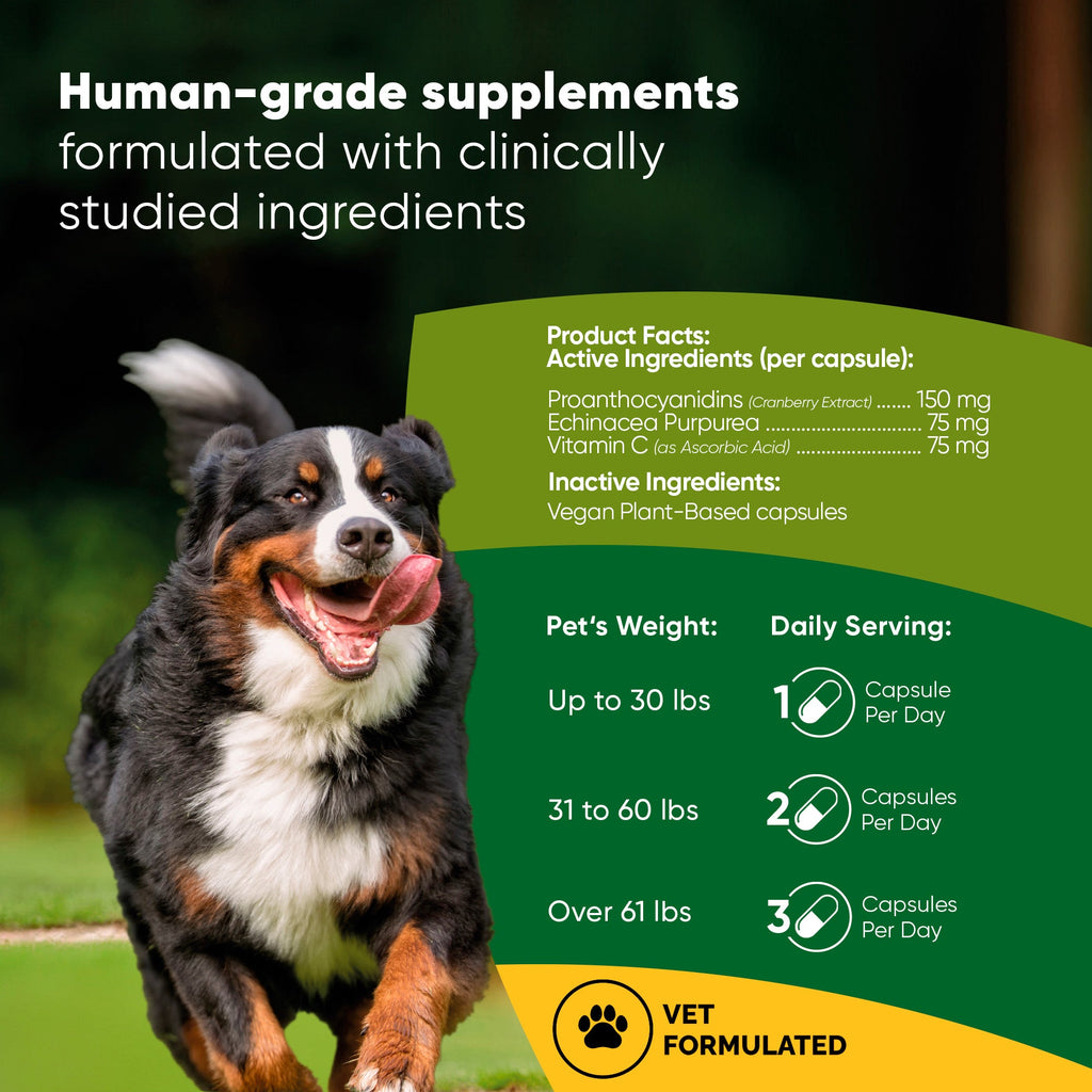 Rooted Owl® Urinary Support