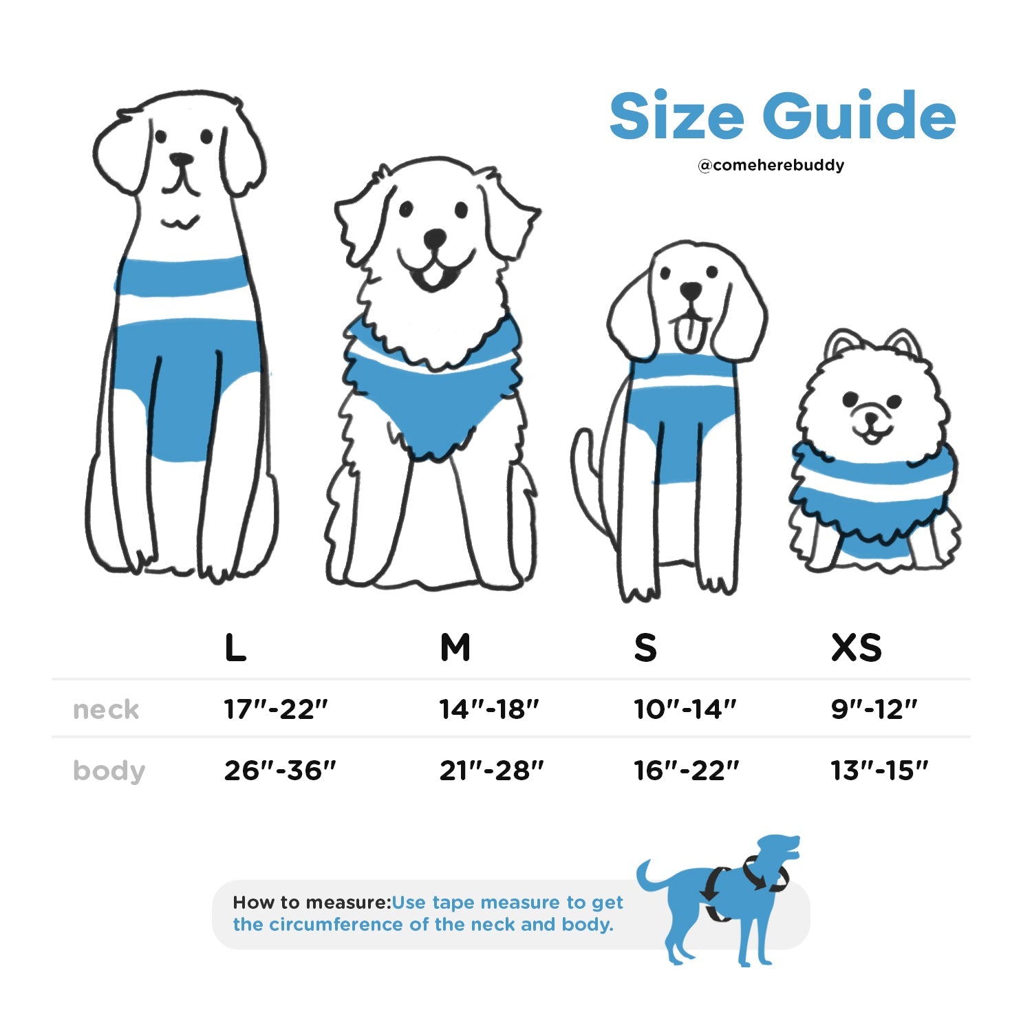 Come Here Buddy Harness