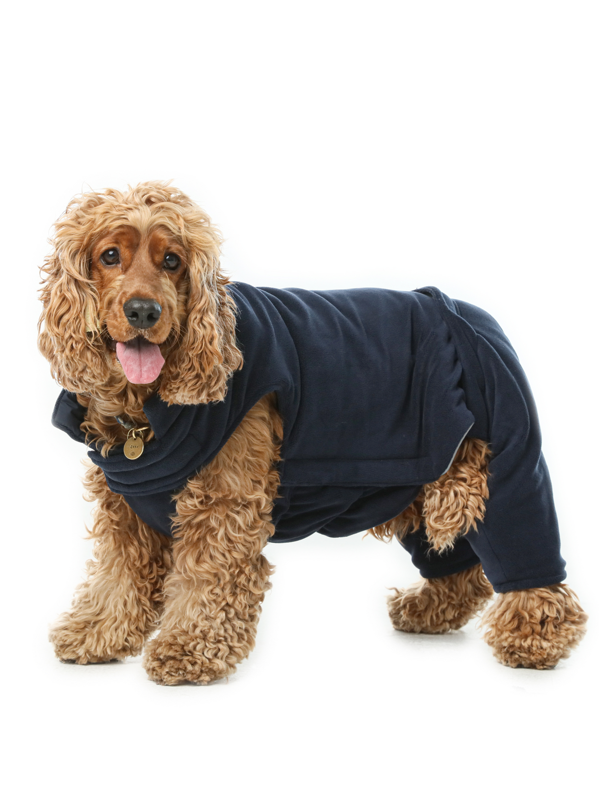 Pehom | Reversible Dog Vest Jacket - Blue