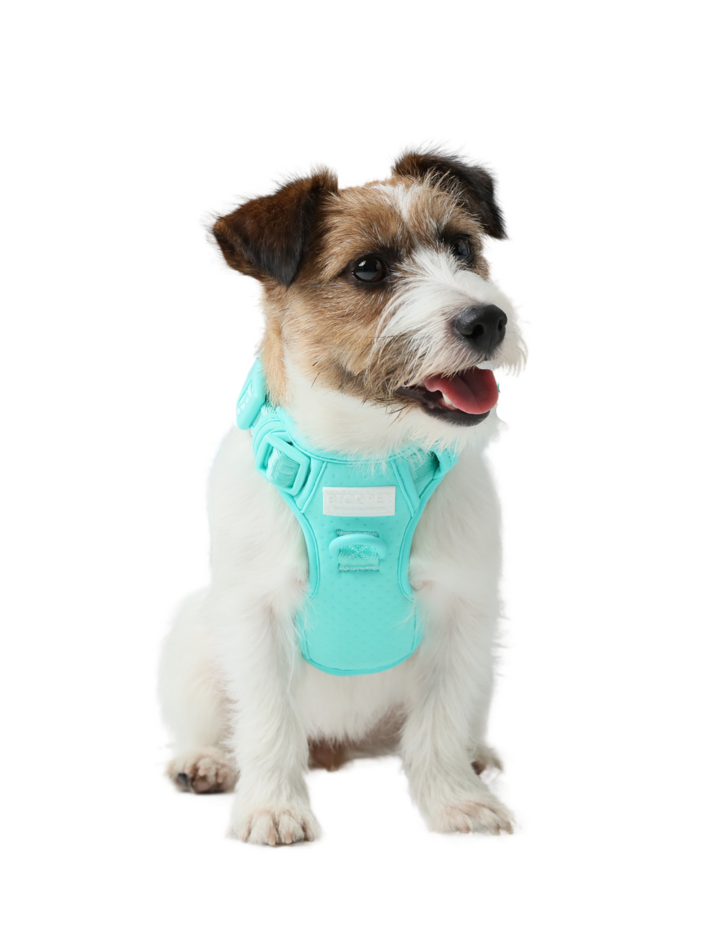 Pehom | No Pull Active Pet Harness - Mint Green