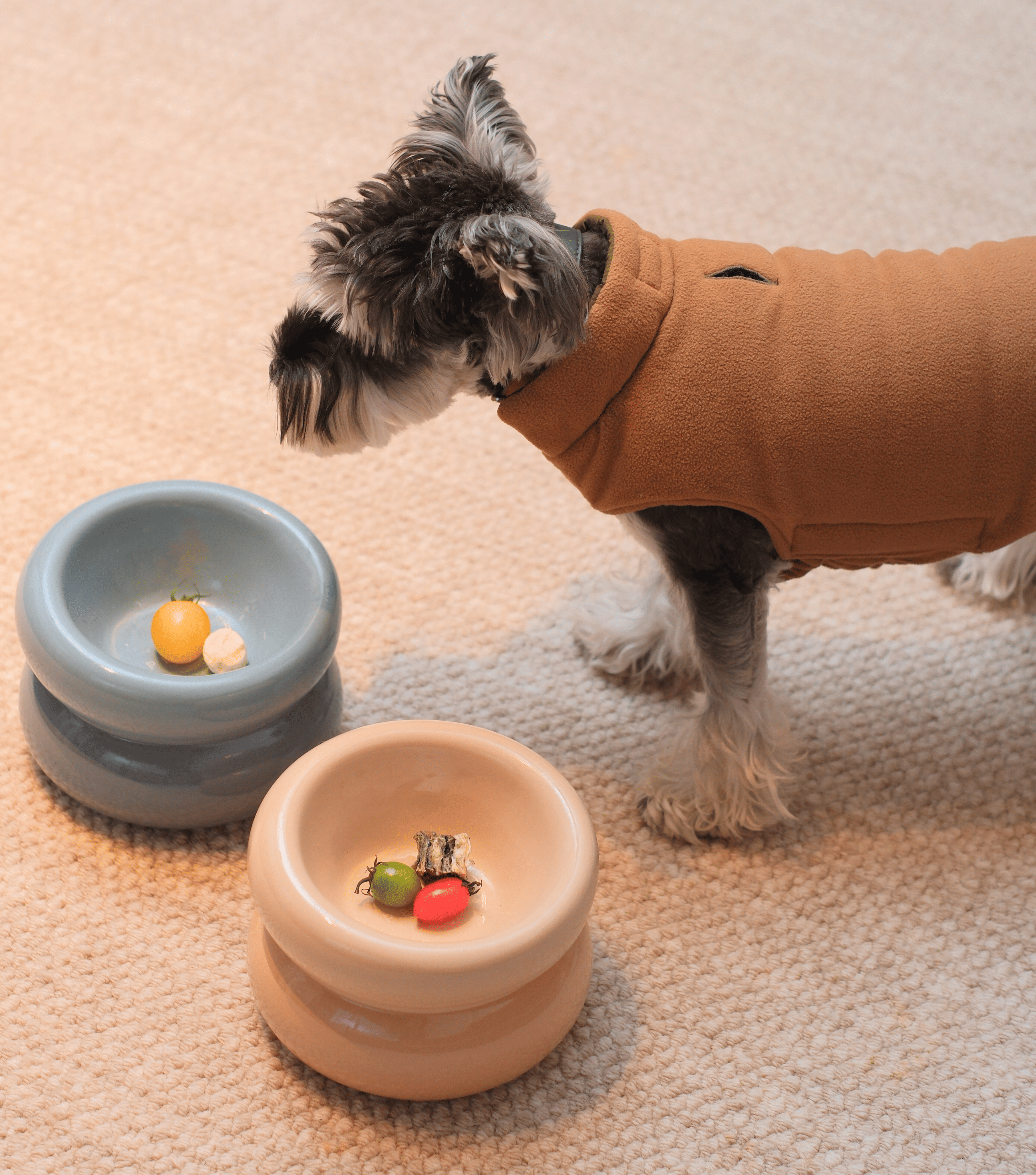 Pehom | Soufflé Pet Bowl - Cream Beige