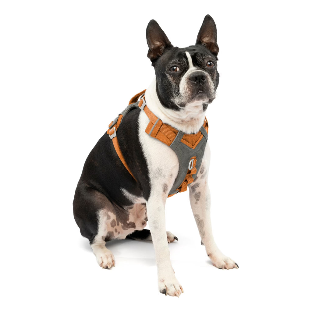 Journey Air Dog Pet Hiking Harness for Running & Walking