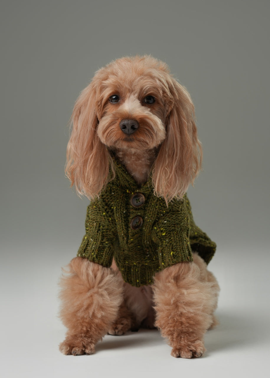 Pehom | Glacier Pet Sweater - Olive Green