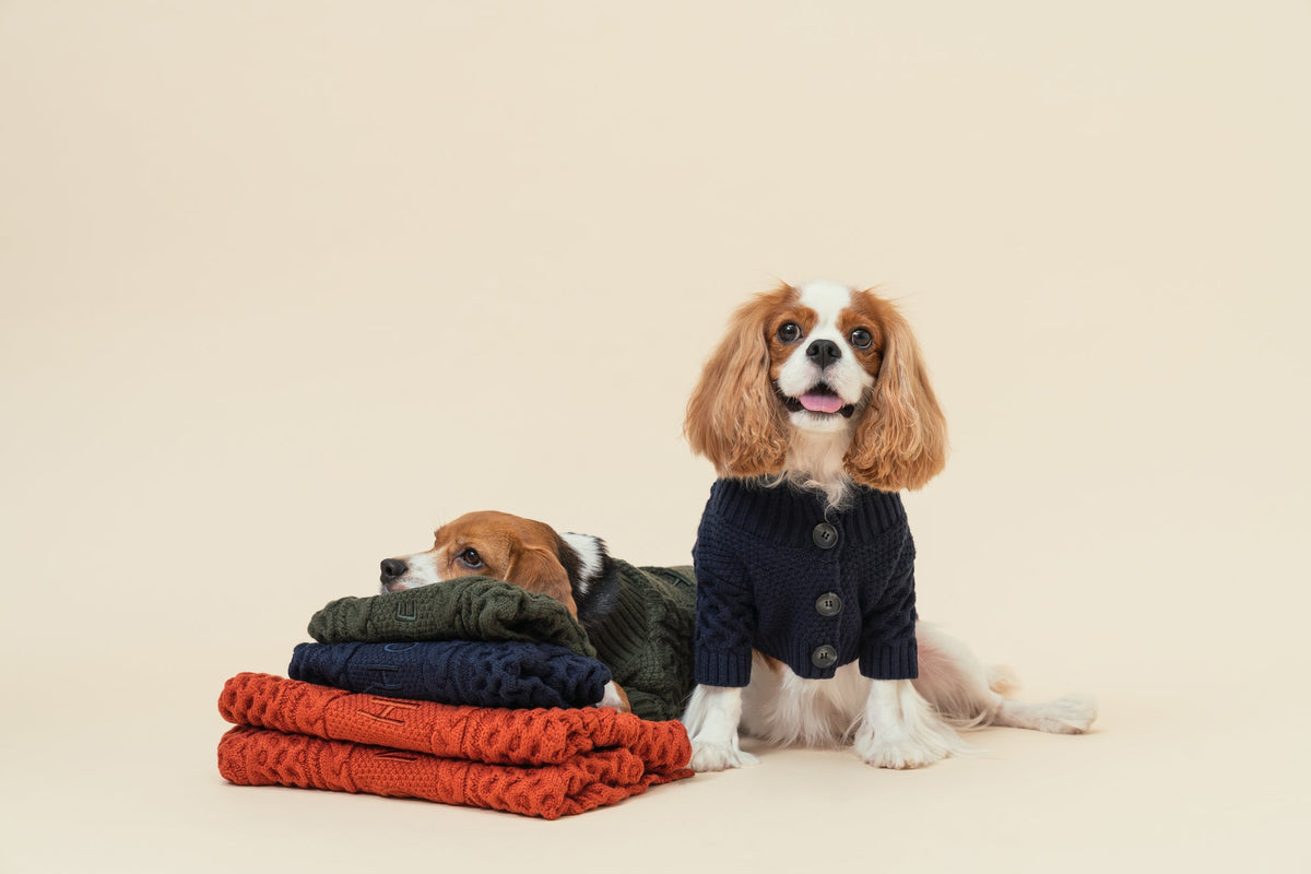 Pehom | Bert Cardigan Sweater - Orange