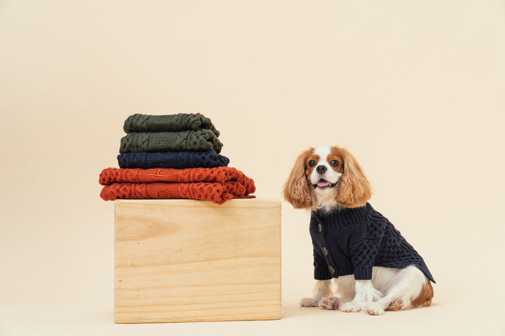 Pehom | Bert Cardigan Sweater - Orange