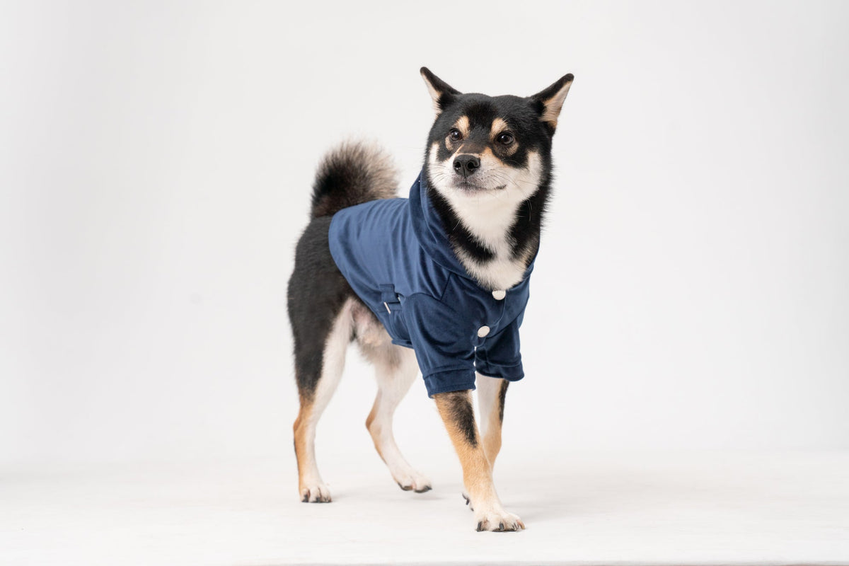 Pehom | Huston Hoodie - Midnight Blue
