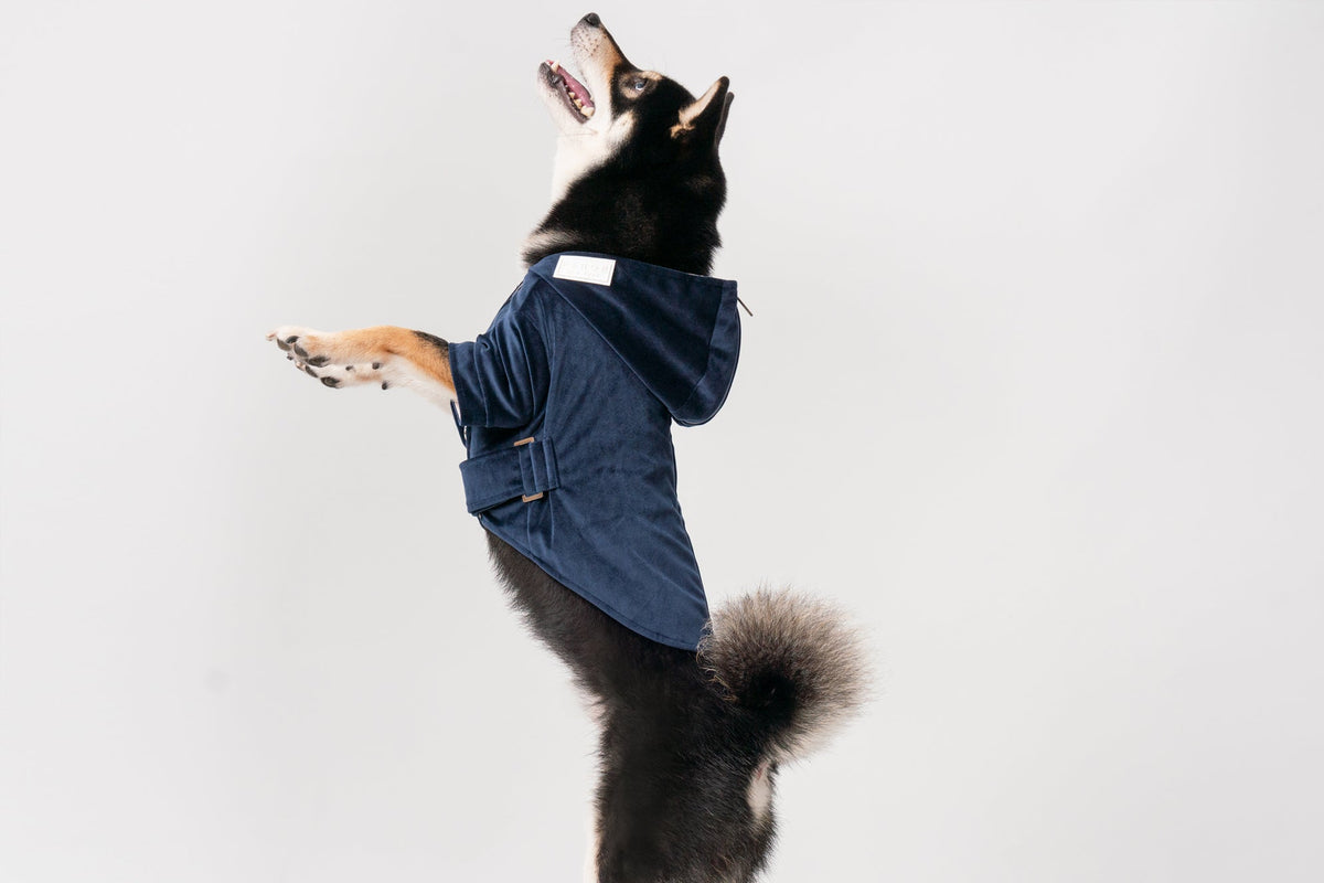 Pehom | Huston Hoodie - Midnight Blue