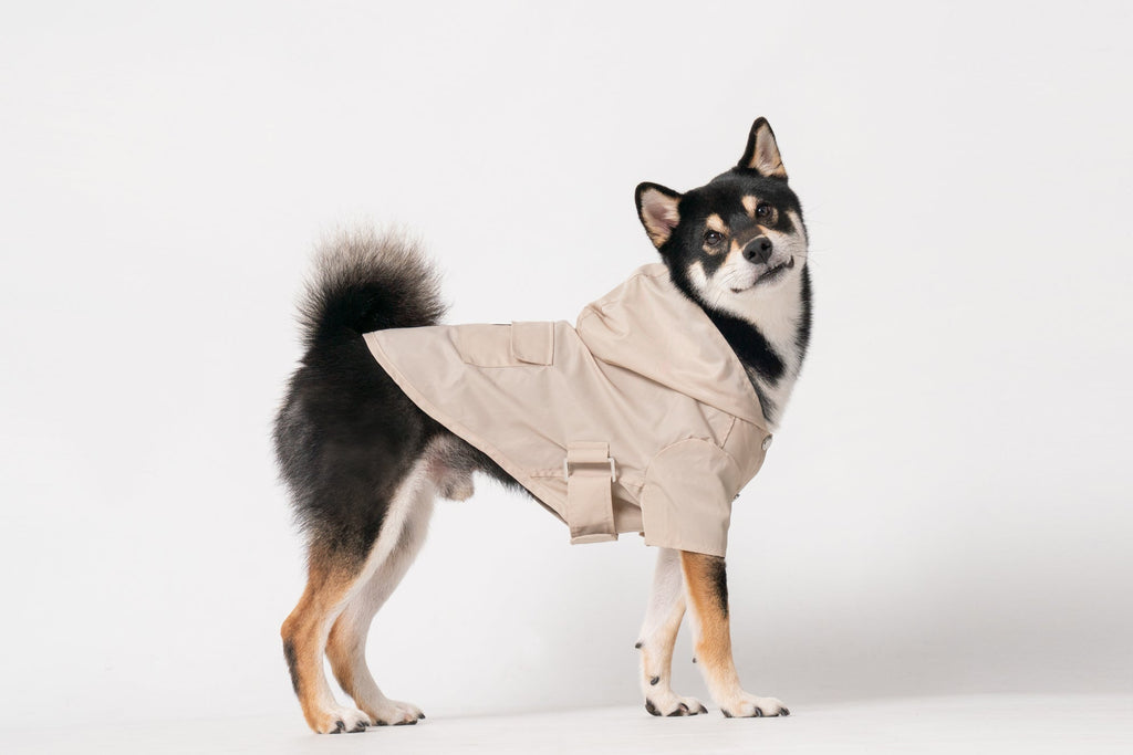 Pehom | Bowery Raincoat - Beige