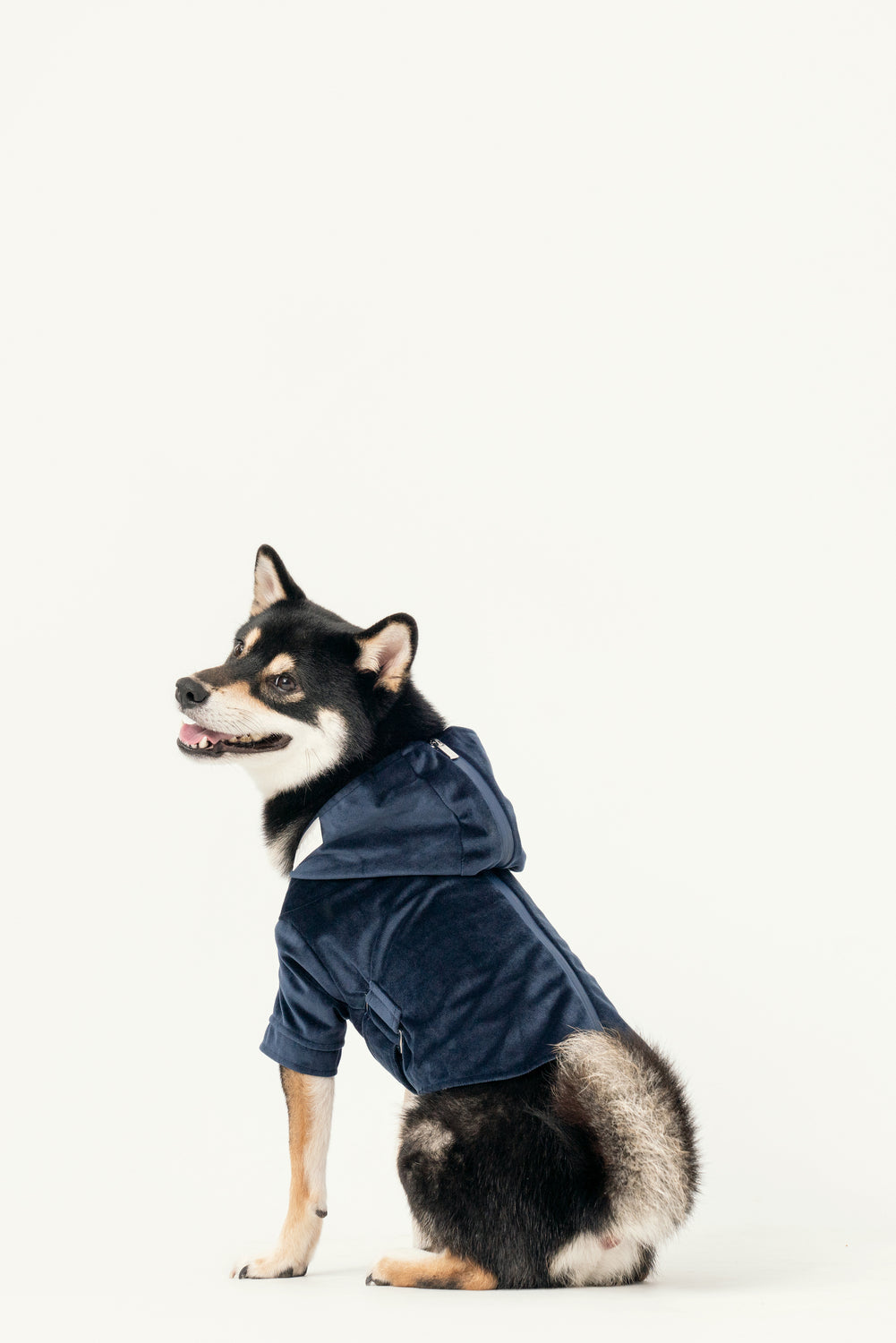 Pehom | Huston Hoodie - Midnight Blue