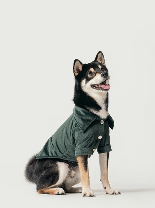Pehom | Stainway Shirt - Green