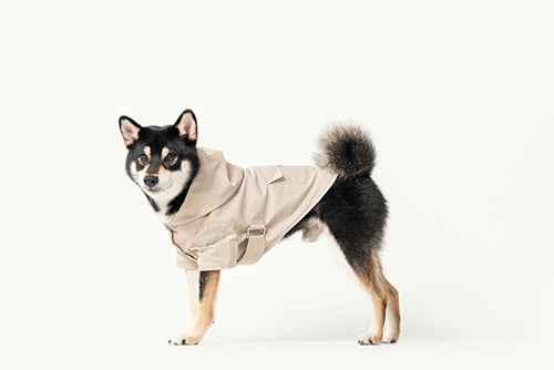 Pehom | Bowery Raincoat - Beige